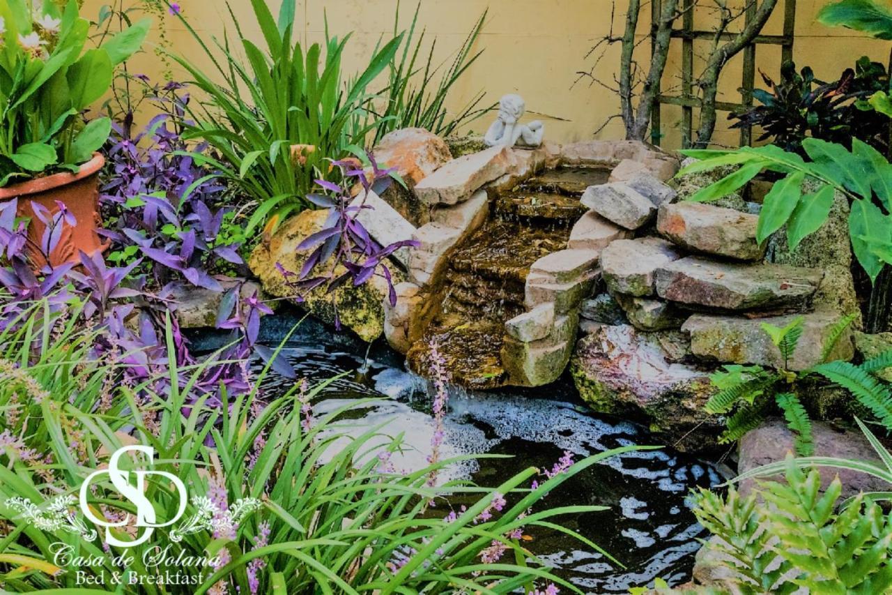 Casa De Solana Bed And Breakfast St. Augustine Ngoại thất bức ảnh